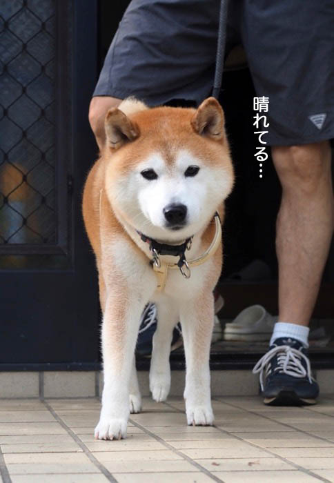 3日夕ブログ３
