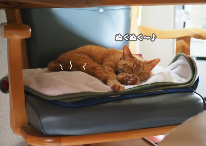 26日夕ブログ３
