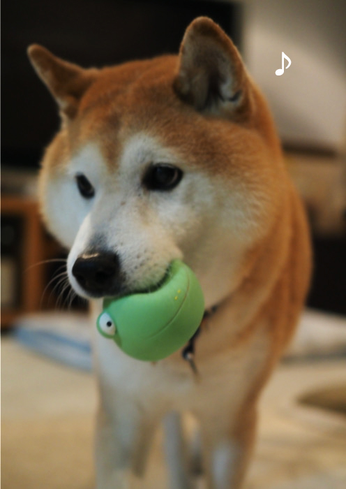 9日ブログ６