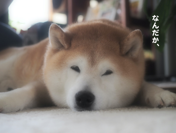 9日夕ブログ３