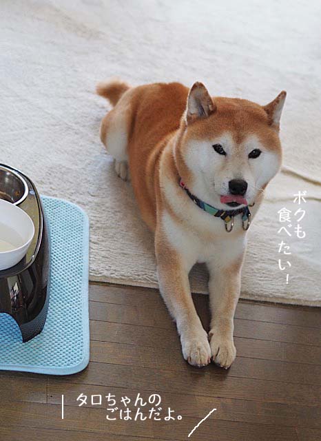 21日ブログ6