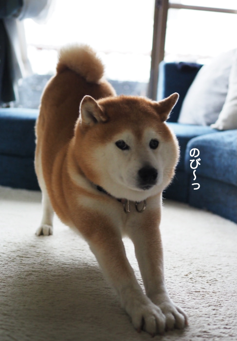7日ブログ４