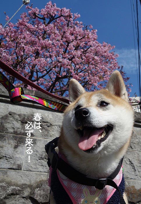 24日ブログ4