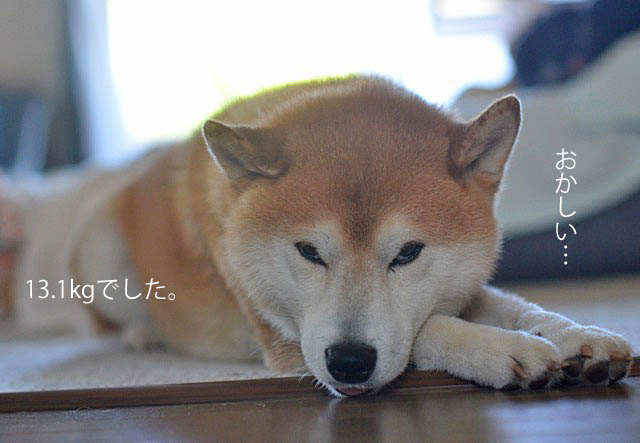 14日ブログ8