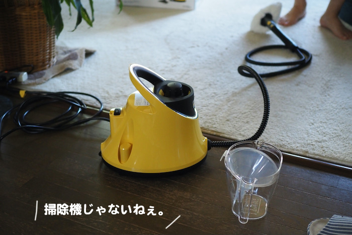 1日夕ブログ２