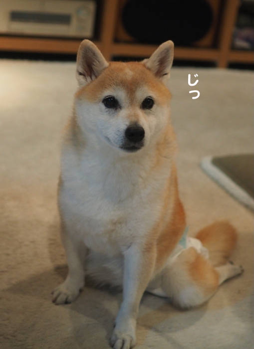 11日夜ブログ４