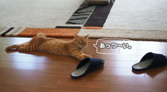 24日ブログ２