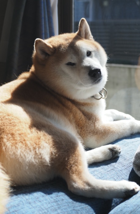 20日ブログ２