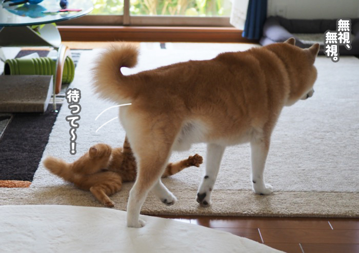17日夕ブログ５