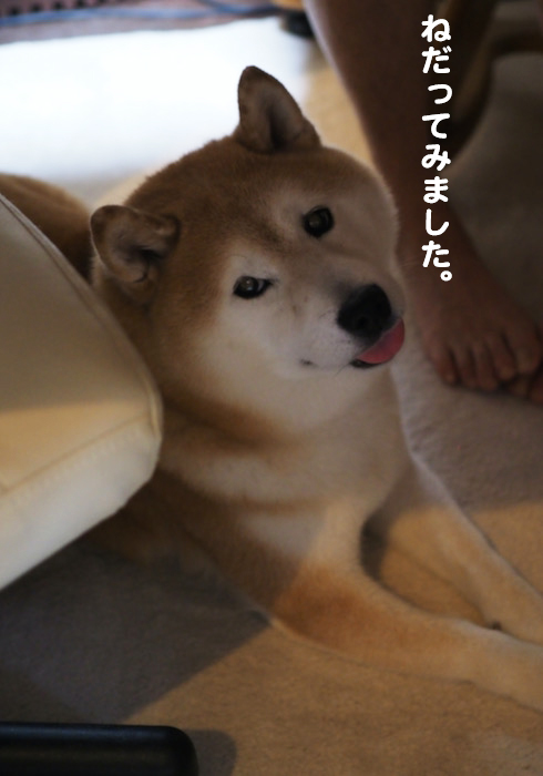 4日夜ブロ３