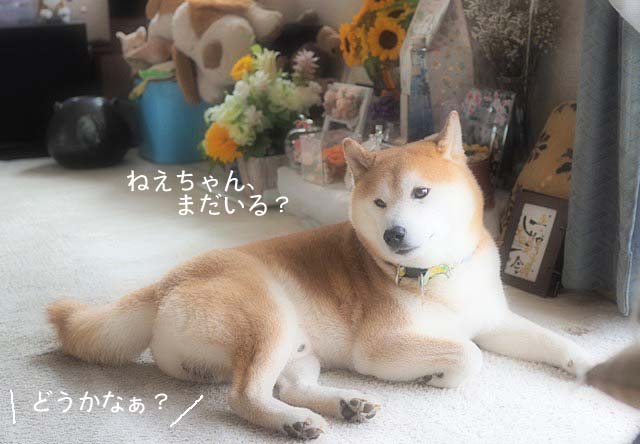 19日ブログ8