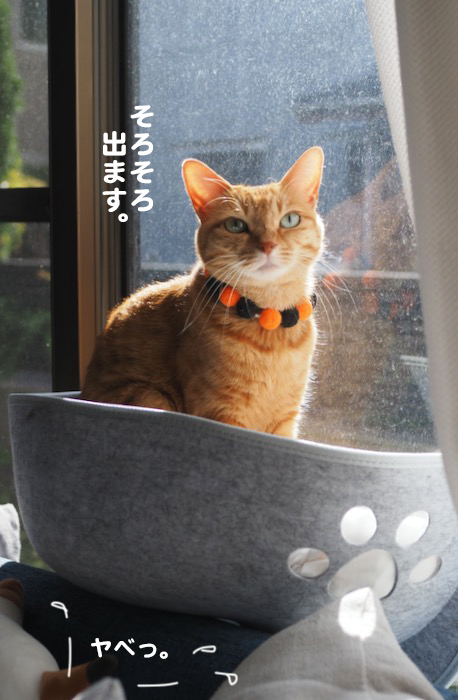 22日ブログ４