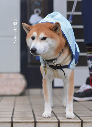 4日ブログ６.jpg