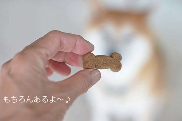 31日ブログ7