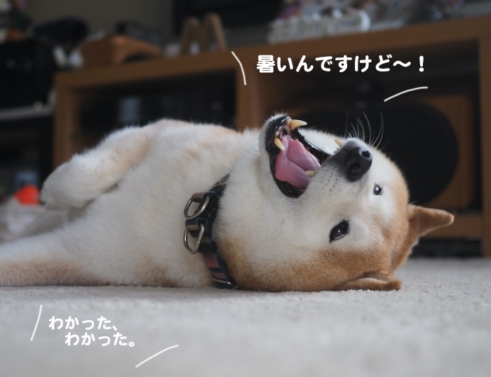 9日ブログ２
