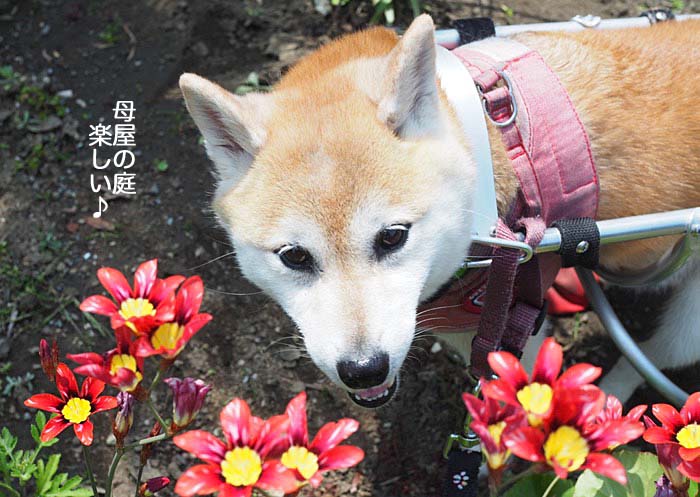 21日午後ブログ３