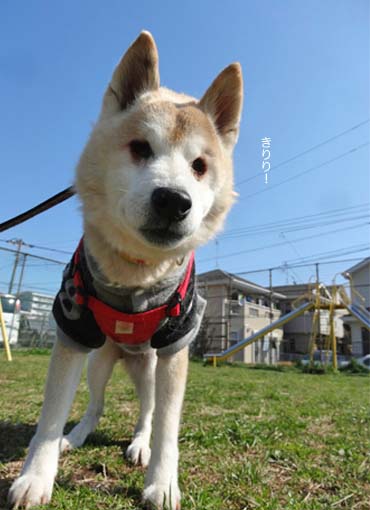 14日ブログ７.jpg