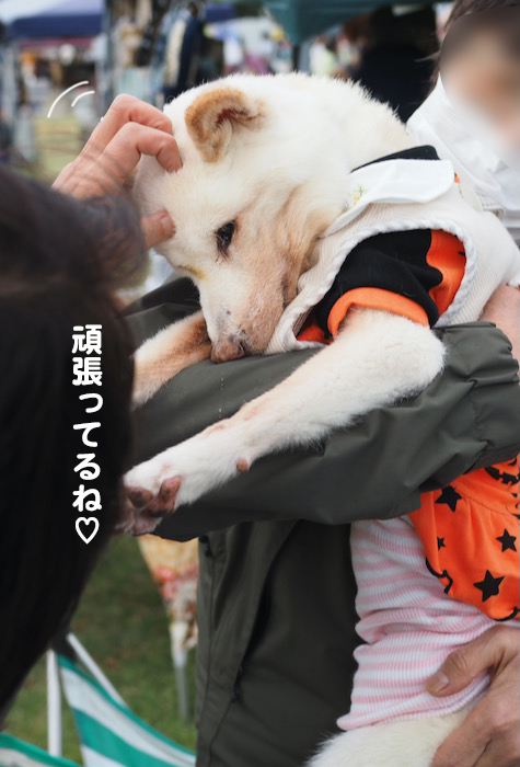 9日夕ブログ２