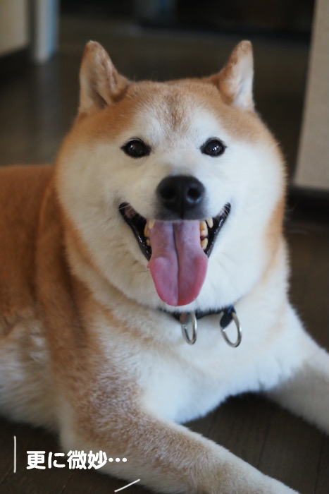 5日ブログ３