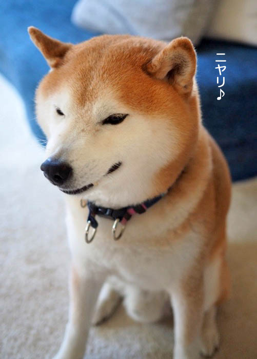 26日午後ブログ7