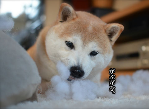7日ブログ9.jpg