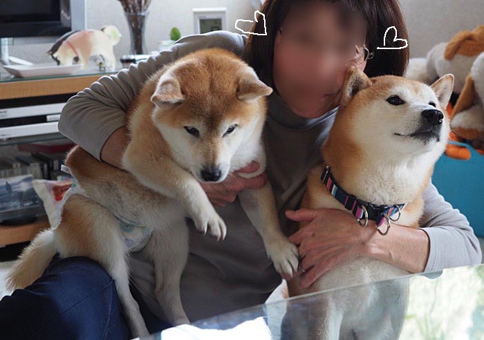 8日ブログ１