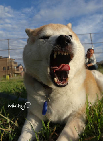 24日ブログ5.jpg