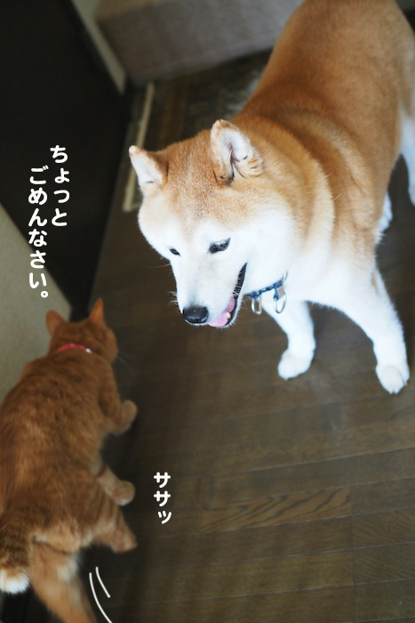 11日ブログ６