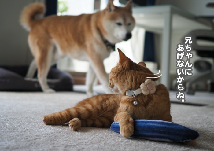 20日ブログ３