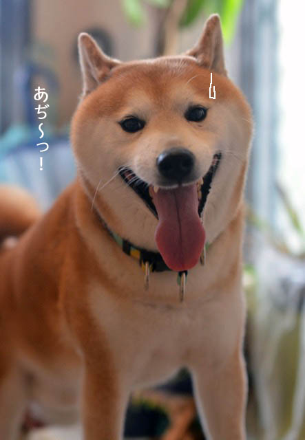13日ブログ５