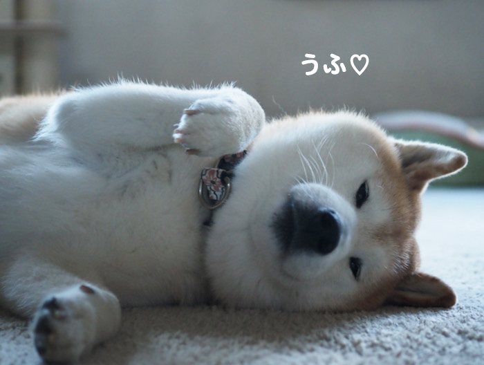 5日夕ブログ３