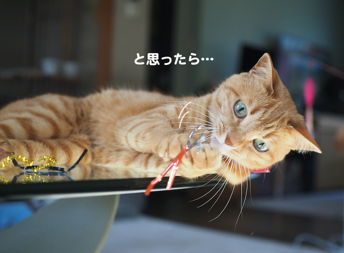 4日夕ブログ７