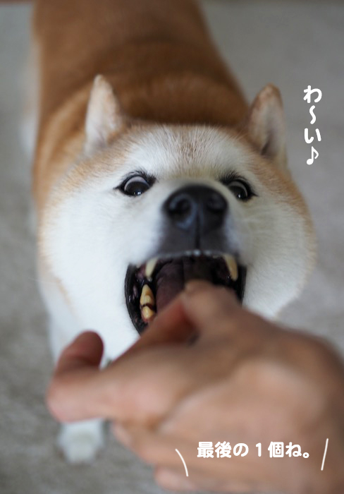 14日夕ブログ９