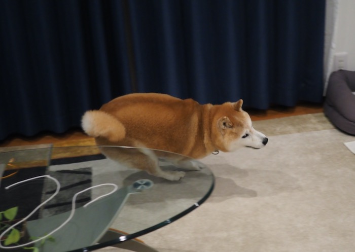 22日夕ブログ７