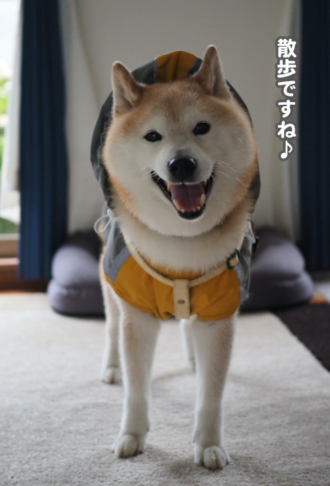 13日夕ブログ２