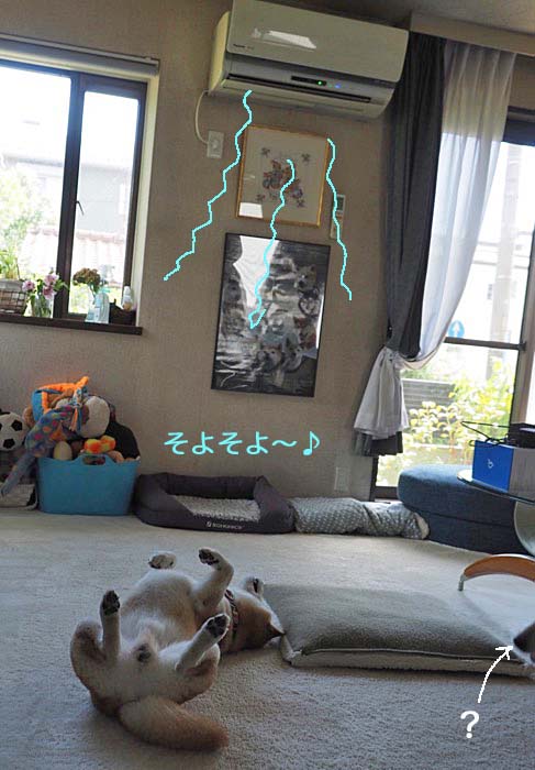 27日夜ブログ３