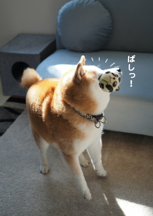 2日夕ブログ６