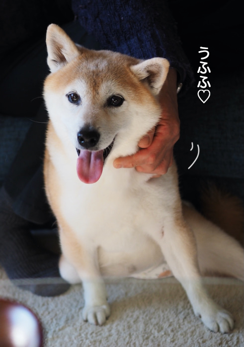 14日夕ブログ２