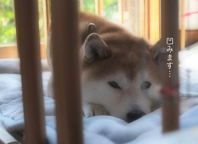12日ブログ2