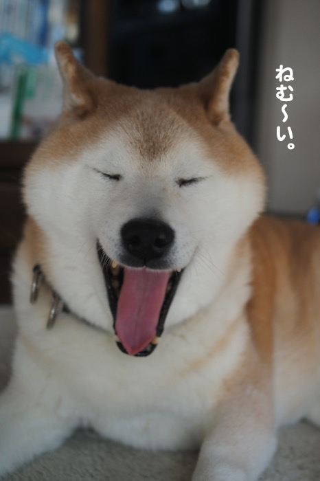 31日ブログ２