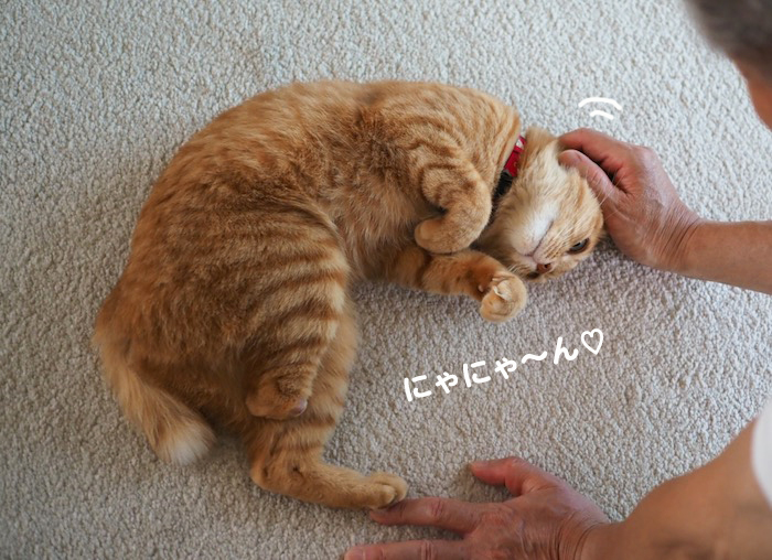 26日夕ブログ２