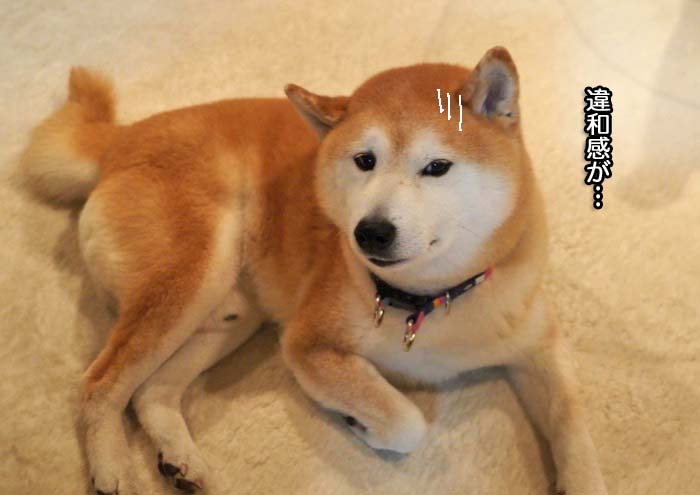 7日ブログ３