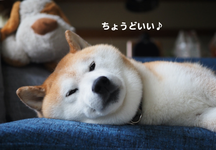 8日ブログ１