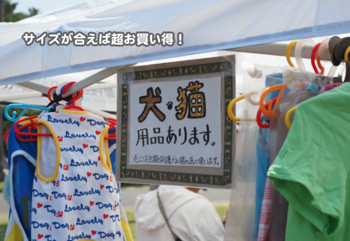 15日ブログ3