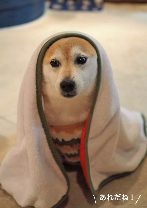 1日夜ブログ４