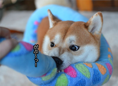 5日ブログ2.jpg