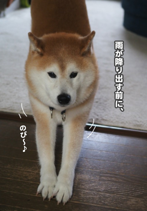 8日夕ブログ２