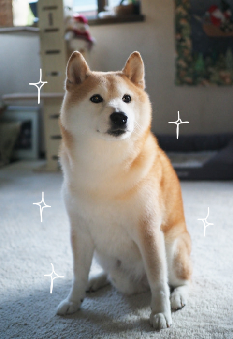 8日夜ブログ６