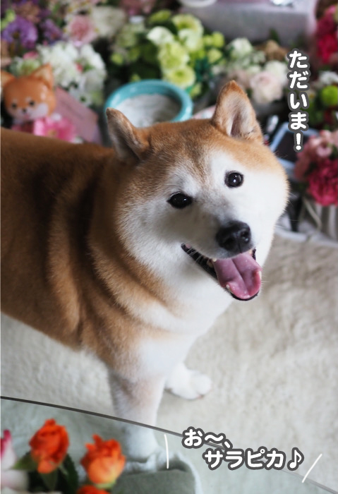 21日ブログ２