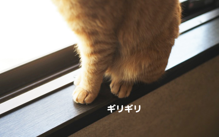 23日夕ブログ５